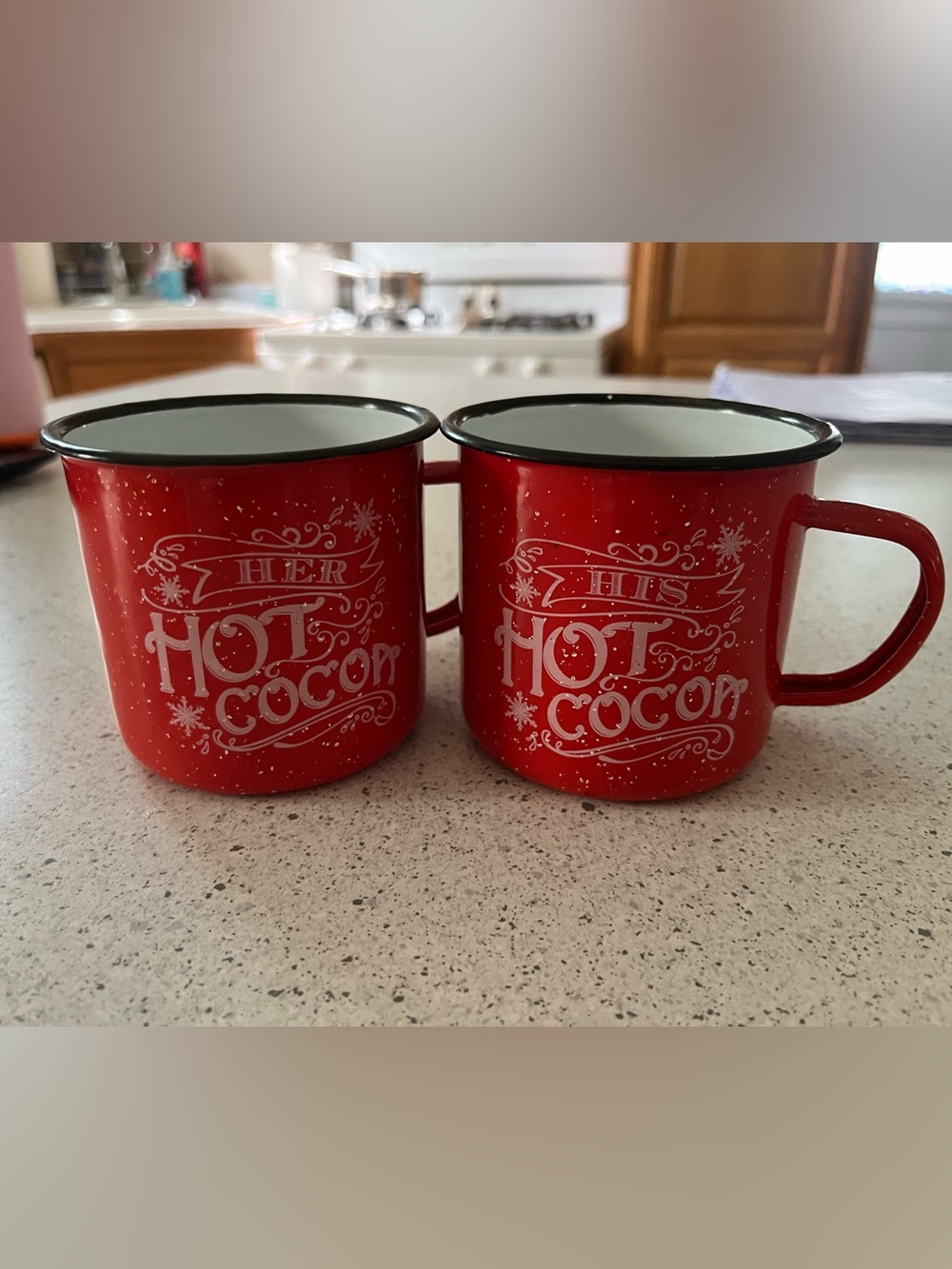 His and Hers Metal Hot Cocoa Mugs
